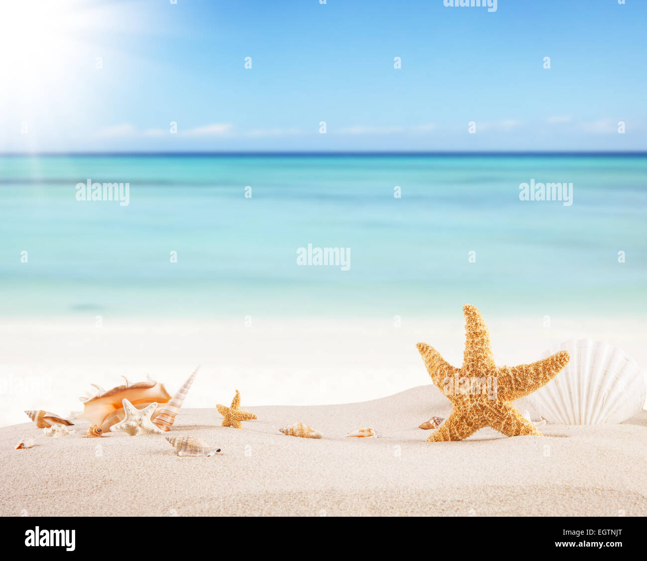 Concetto di estate spiaggia con stelle marine e conchiglie di carta vuoto messaggio di fr. Foto Stock