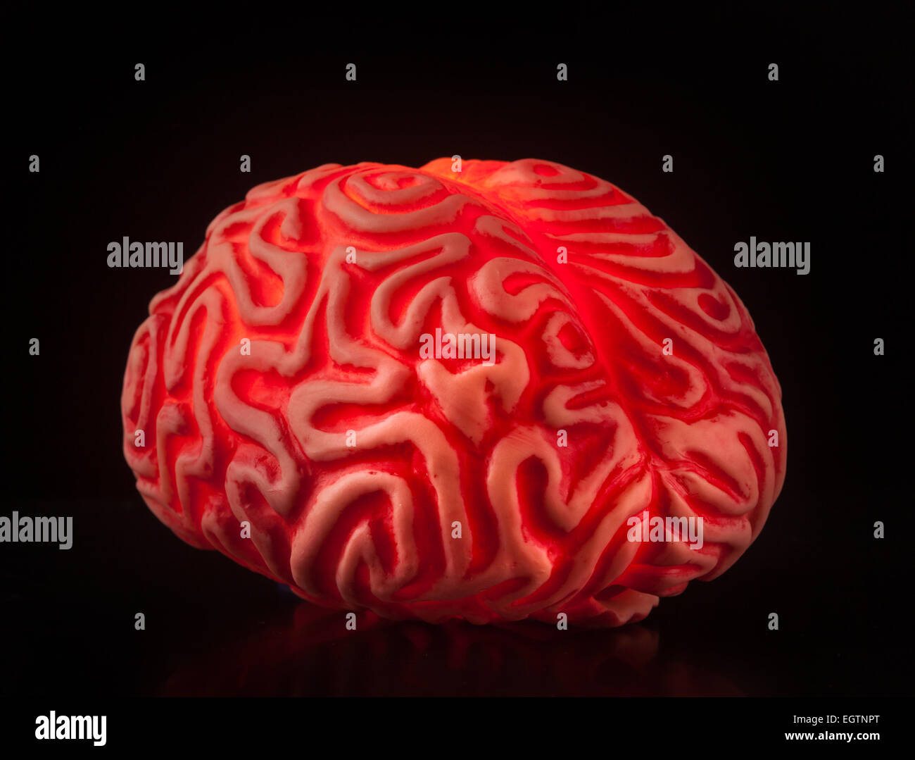 Gomma umano cervello isolato su sfondo nero. Foto Stock