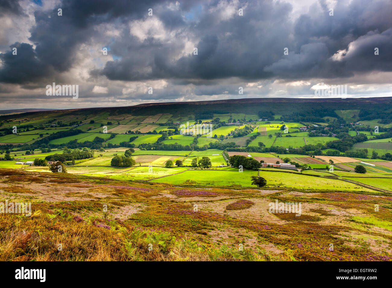 Una vista su Mori presso Castelton, North York Moors National Park, North Yorkshire, Inghilterra, Regno Unito, Europa. Foto Stock