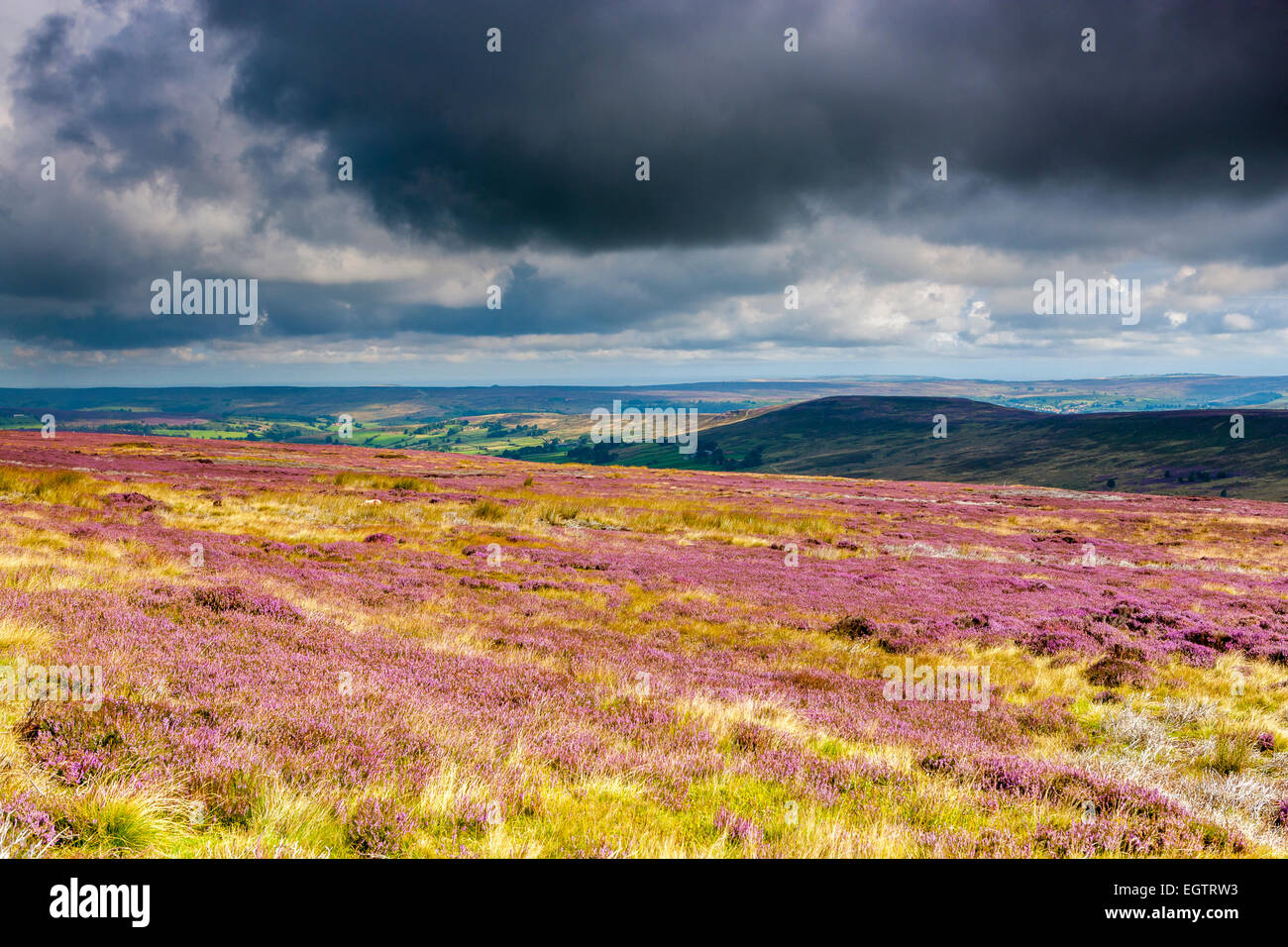 Una vista su Mori presso Castelton, North York Moors National Park, North Yorkshire, Inghilterra, Regno Unito, Europa. Foto Stock