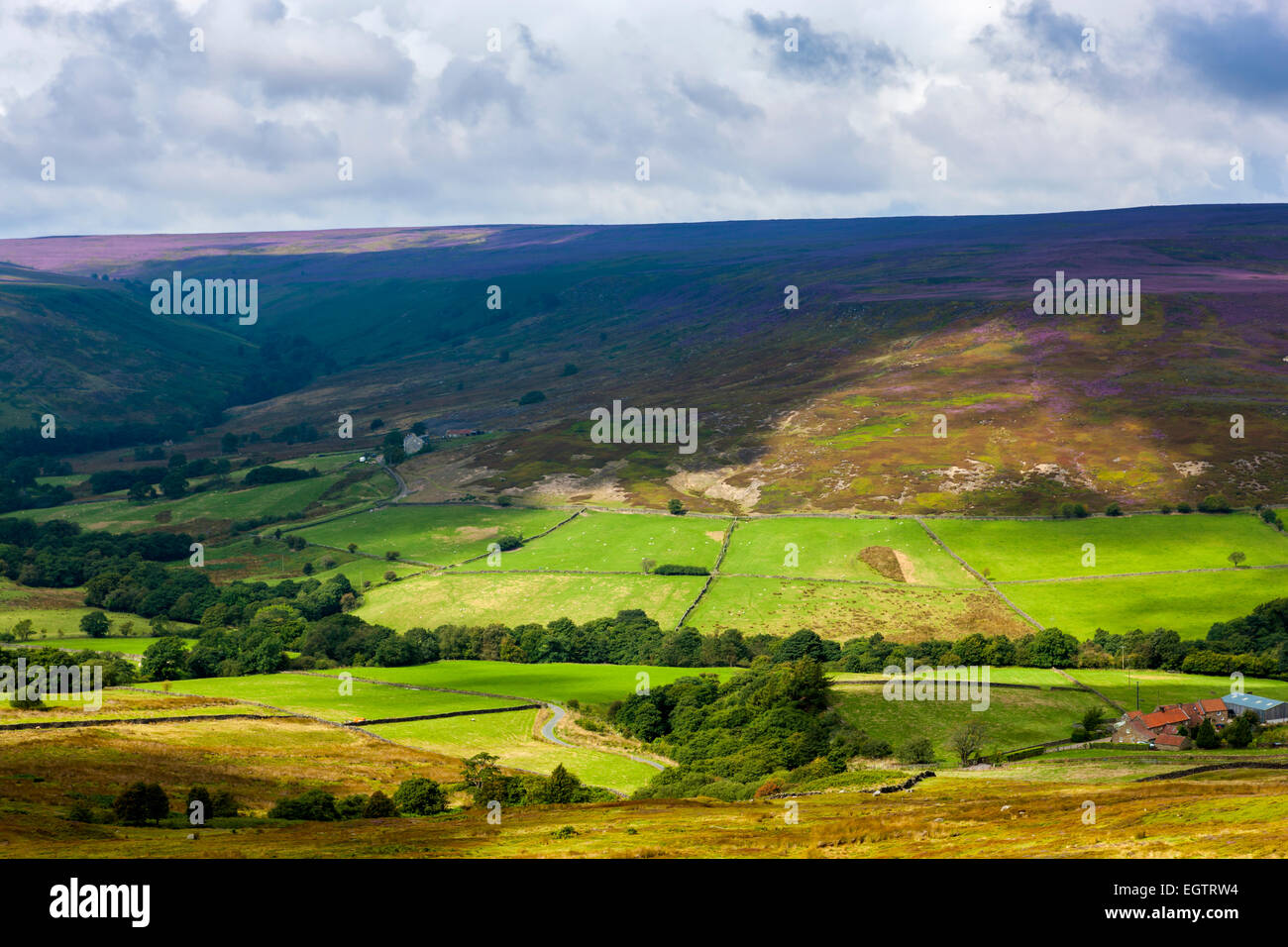 Una vista su Mori presso Westerdale, North York Moors National Park, North Yorkshire, Inghilterra, Regno Unito, Europa. Foto Stock