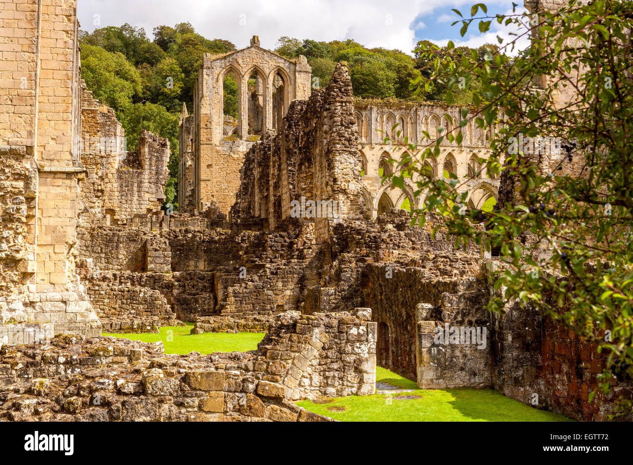 Rovine di Rievaulx Abbey, North Yorkshire, Inghilterra, Regno Unito, Europa. Foto Stock