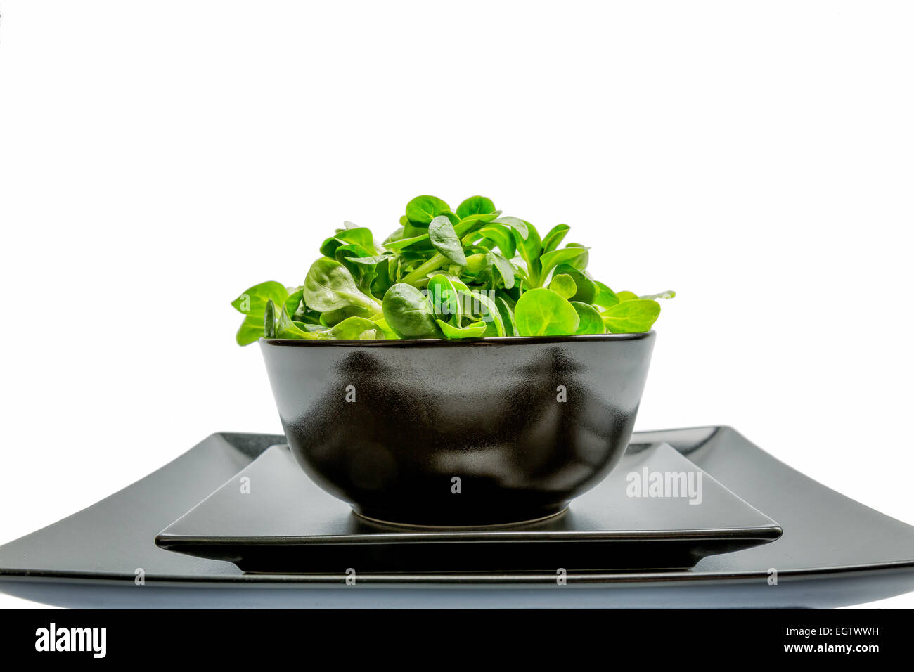 Valerianella locusta, insalata di mais, la valeriana Foto Stock