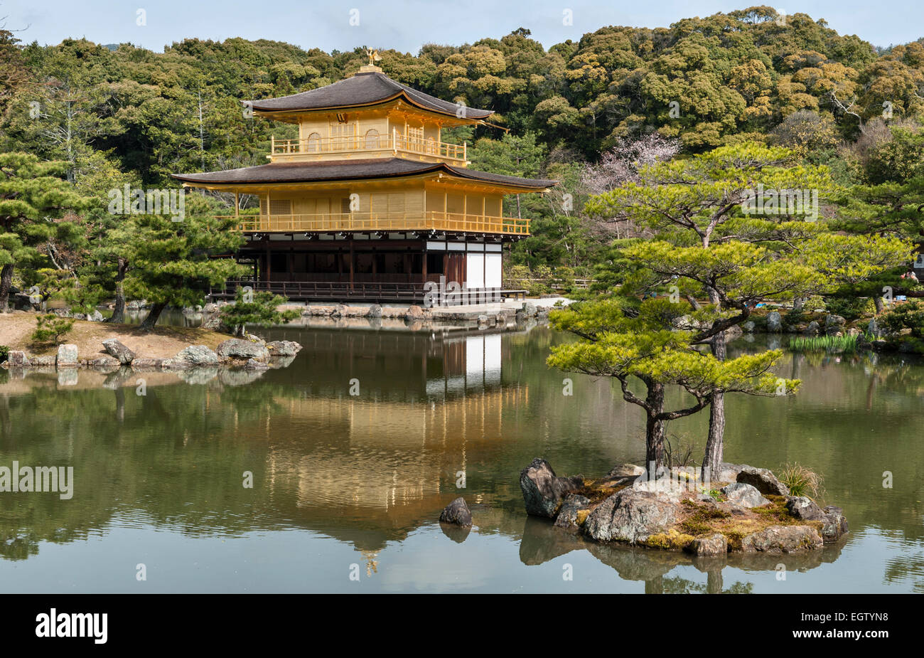 I 14c giardini del tempio Kinkaku-ji (il Padiglione d'Oro), Kyoto, Giappone. L'edificio originale del tempio fu bruciato nel 1950 e ricostruito nel 1955 Foto Stock