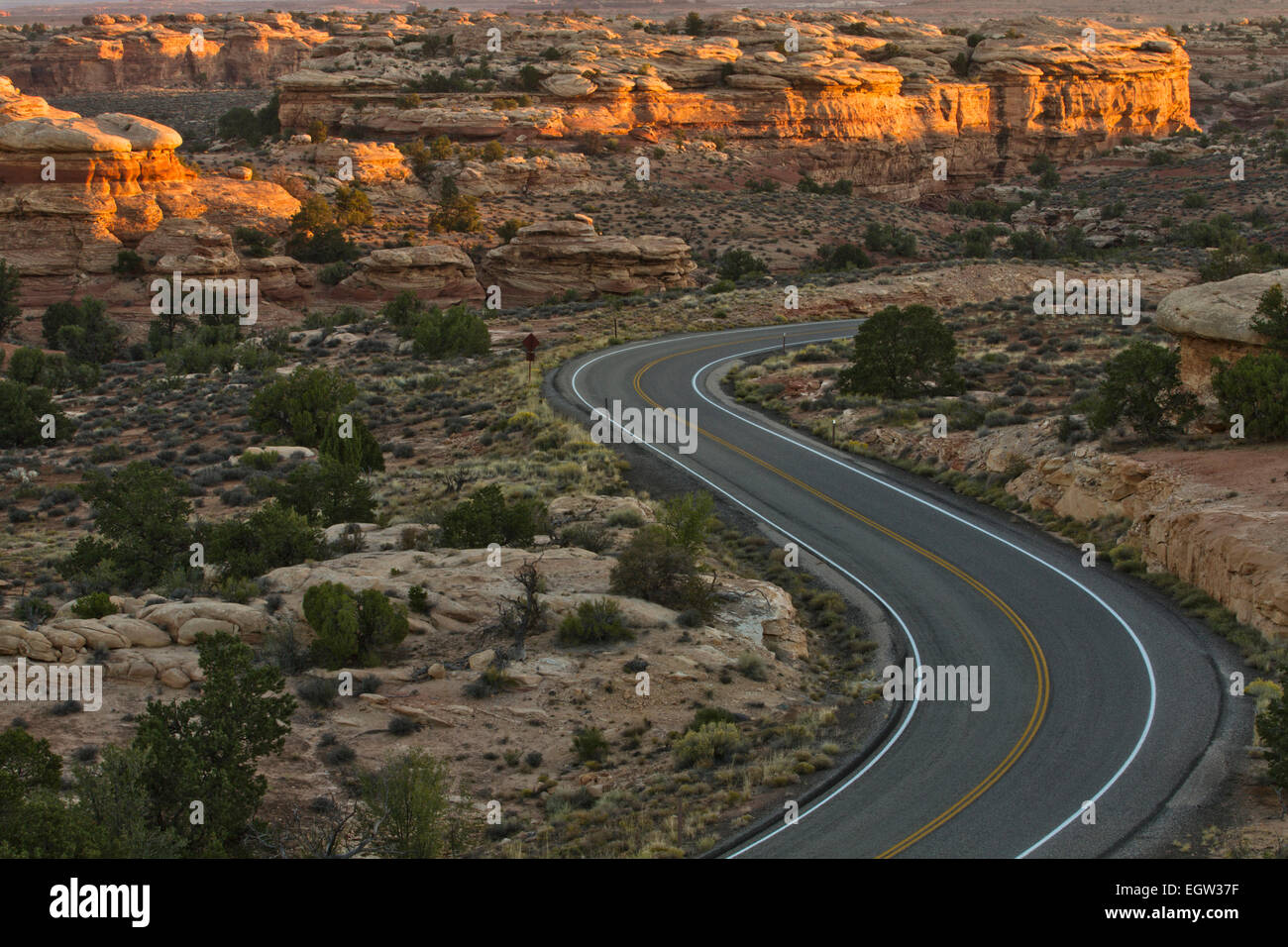 Strada curva a S nel distretto di Needles del Canyonlands National Park, Utah Foto Stock