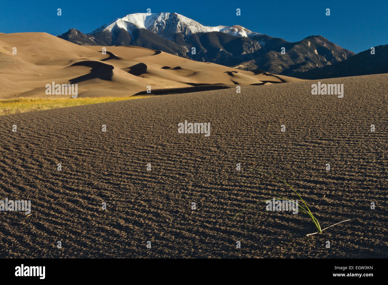 Great Sand Dunes National Park, COLORADO Foto Stock