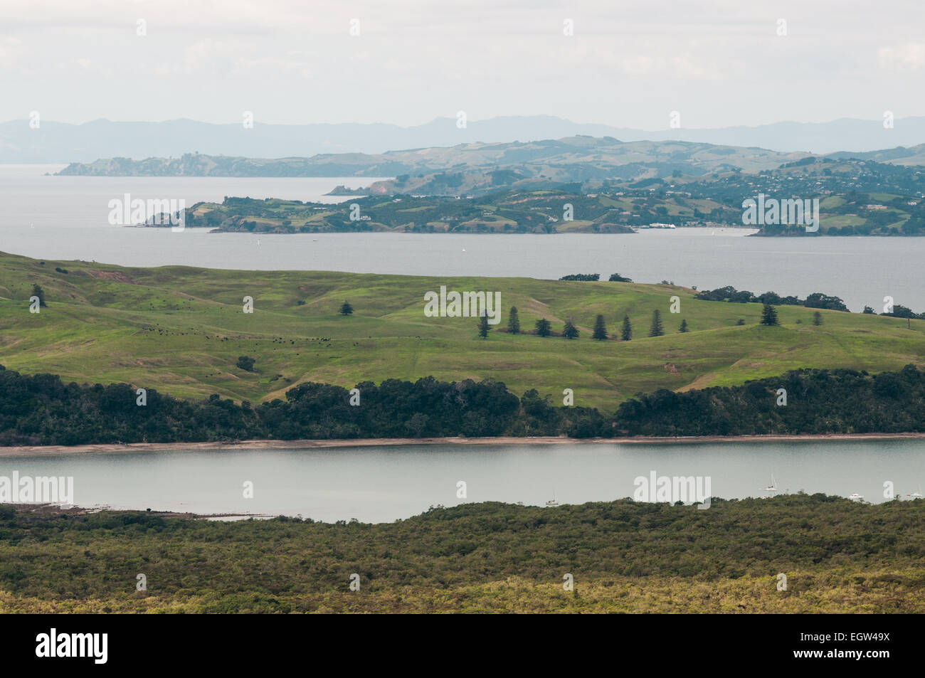 Rangitoto e Motutapu Island, Auckland, Isola del nord, Nuova Zelanda. Foto Stock