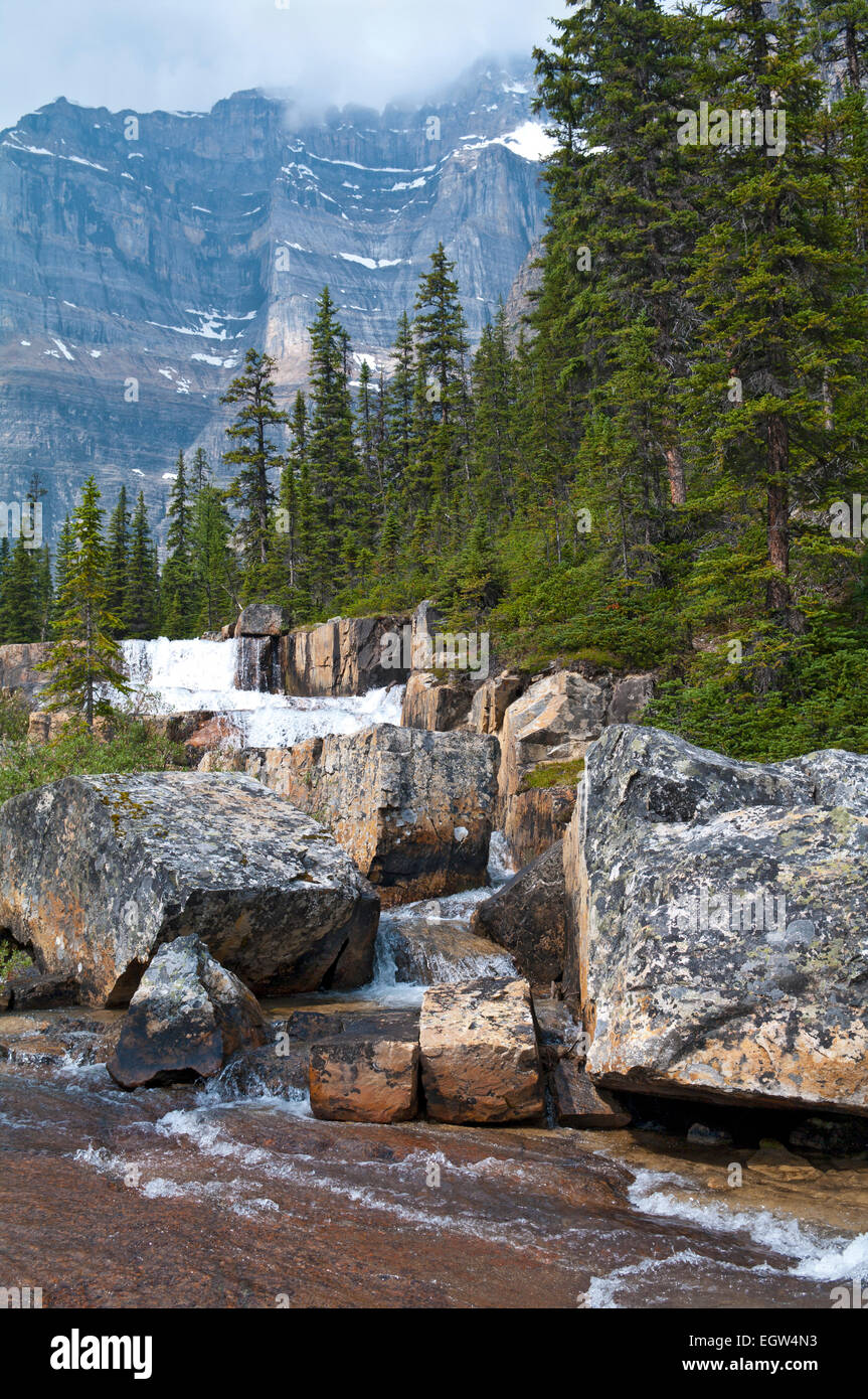 Il gigante di passi nel Parco Nazionale di Banff, Canada. Foto Stock