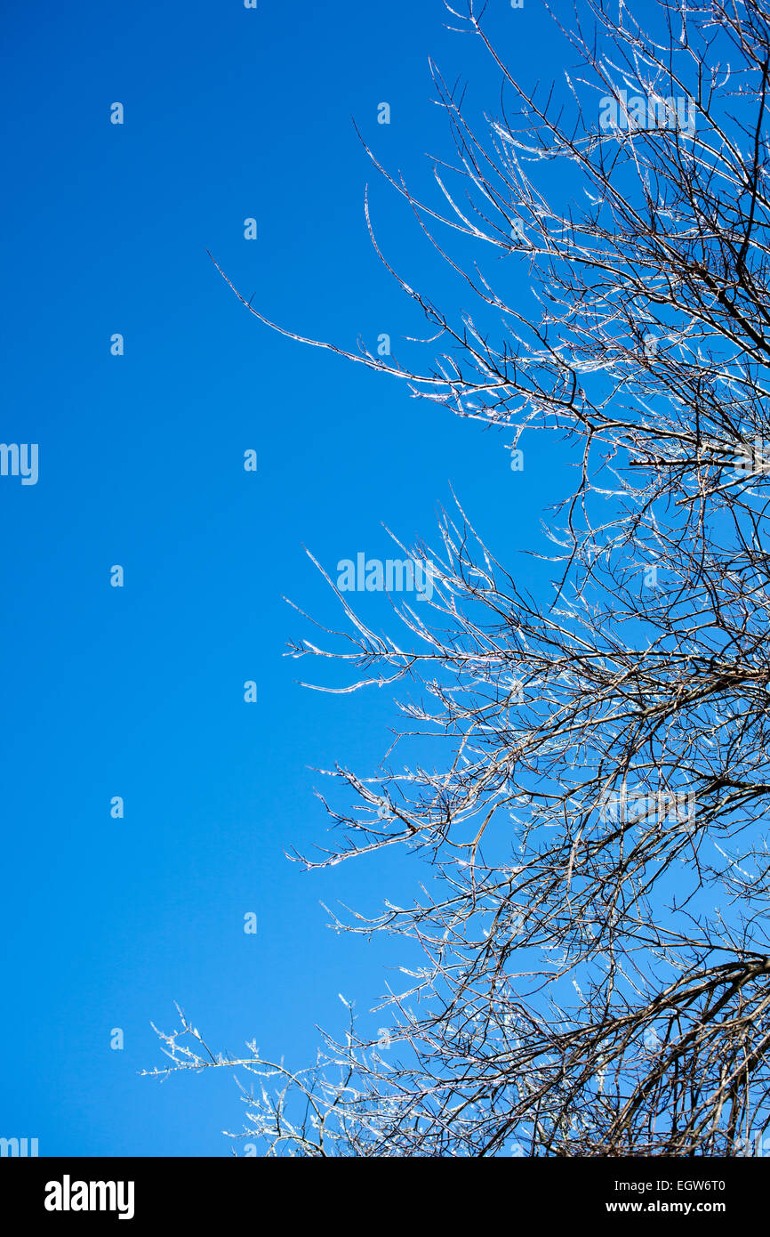 Condizioni meteorologiche estreme effetti sulla Outer Banks, NC dalla tempesta di neve Octavia. Foto Stock