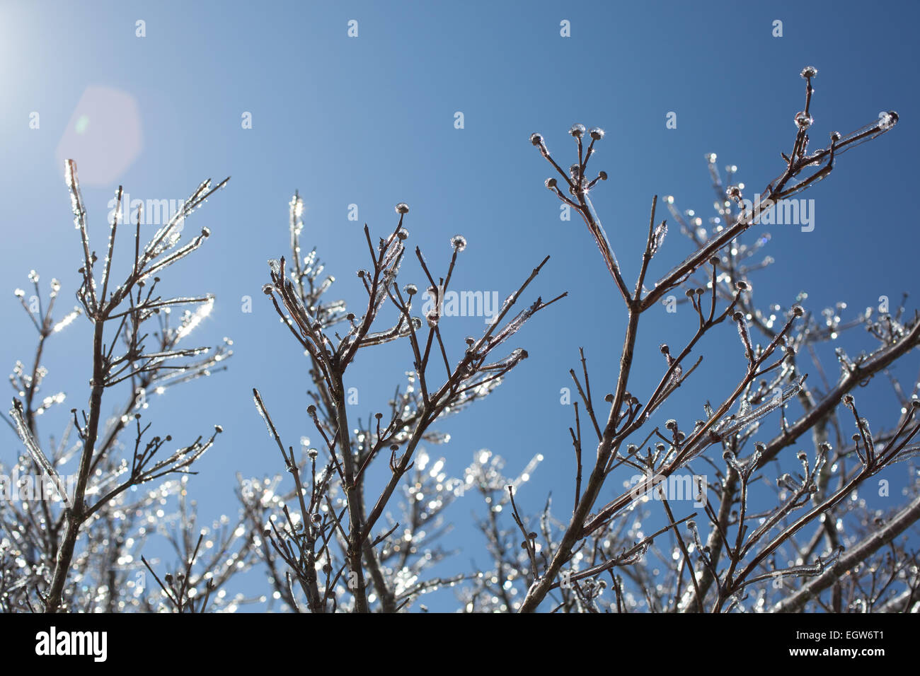 Condizioni meteorologiche estreme effetti sulla Outer Banks, NC dalla tempesta di neve Octavia. Foto Stock