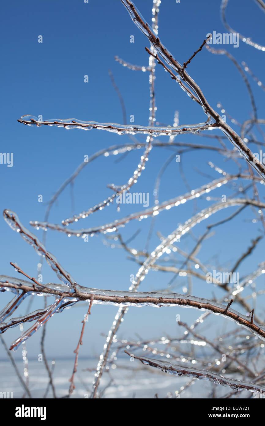 Condizioni meteorologiche estreme effetti sulla Outer Banks, NC dalla tempesta di neve Octavia. Foto Stock