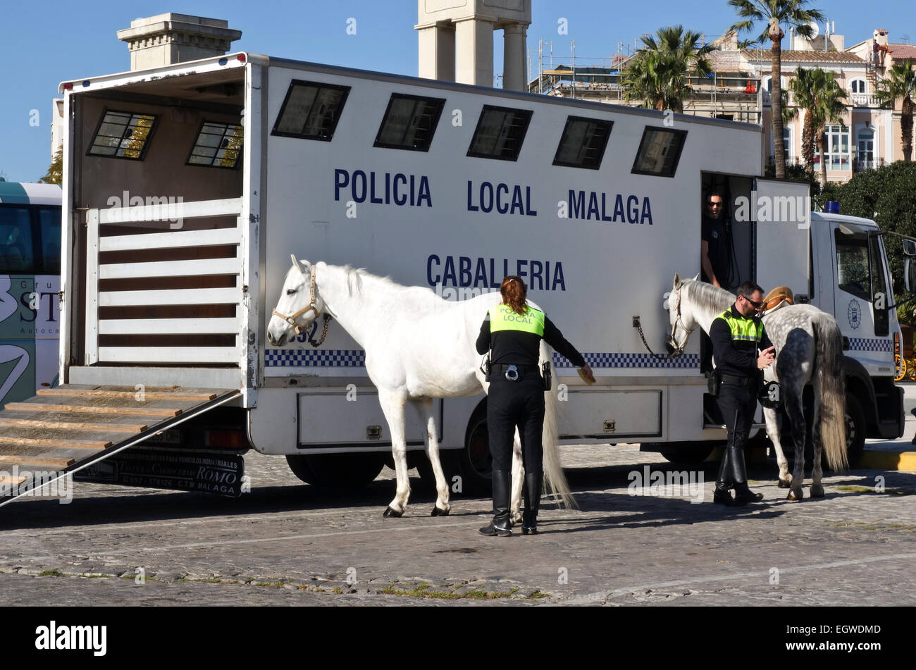 Lo spagnolo gli ufficiali di polizia la preparazione di cavalli prima di pattugliamento city, Malaga, Spagna. Foto Stock