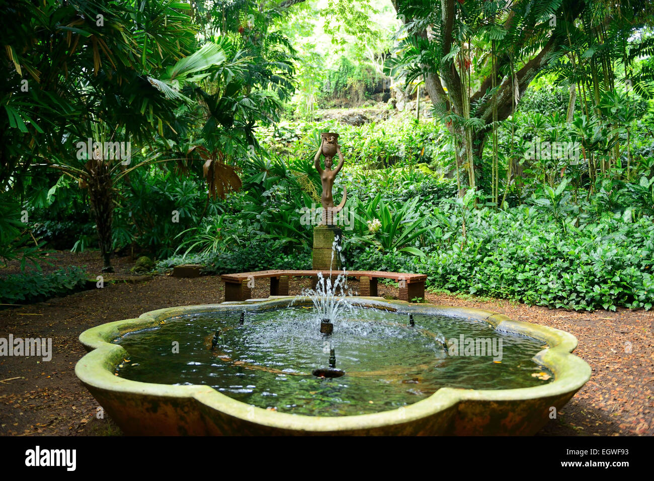 Fontana in Nazionale Allerton Tropicale Giardino Botanico entro Lawa io Valley, Kauai, Hawaii, STATI UNITI D'AMERICA Foto Stock