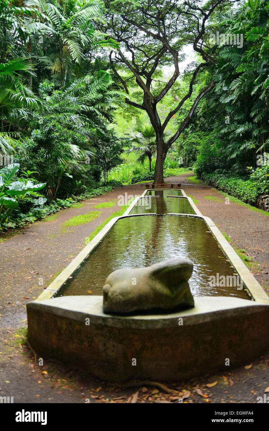 Funzione di acqua in Nazionale Allerton Tropicale Giardino Botanico entro Lawa io Valley, Kauai, Hawaii, STATI UNITI D'AMERICA Foto Stock