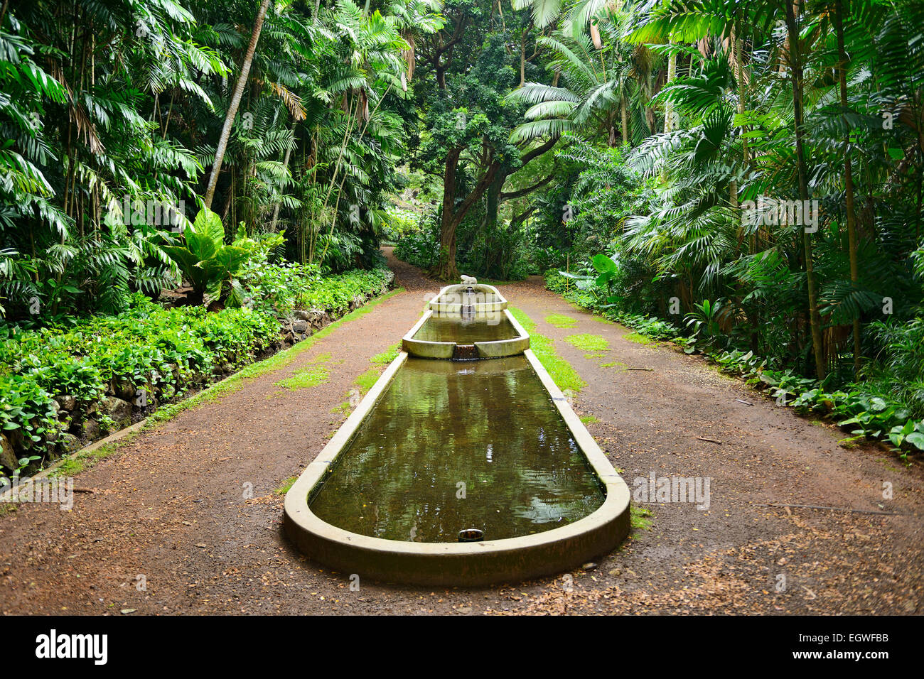 Funzione di acqua in Nazionale Allerton Tropicale Giardino Botanico entro Lawa io Valley, Kauai, Hawaii, STATI UNITI D'AMERICA Foto Stock