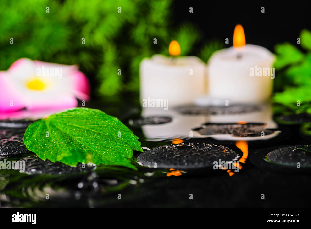 Spa concept di hibiscus foglia, plumeria fiore, ramo verde e candele su zen pietre in riflessione di ripple acqua, profondità Foto Stock