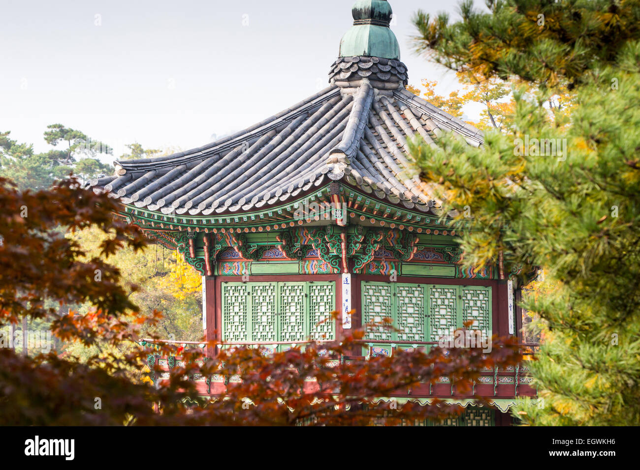 Gyeongbokgung Palace e i suoi giardini in una bella giornata autunnale a Seul, in Corea del Sud. Foto Stock Gyeongbokgung Palace e i suoi giardini in una bella giornata autunnale a Seul, in Corea del Sud. Foto Stock