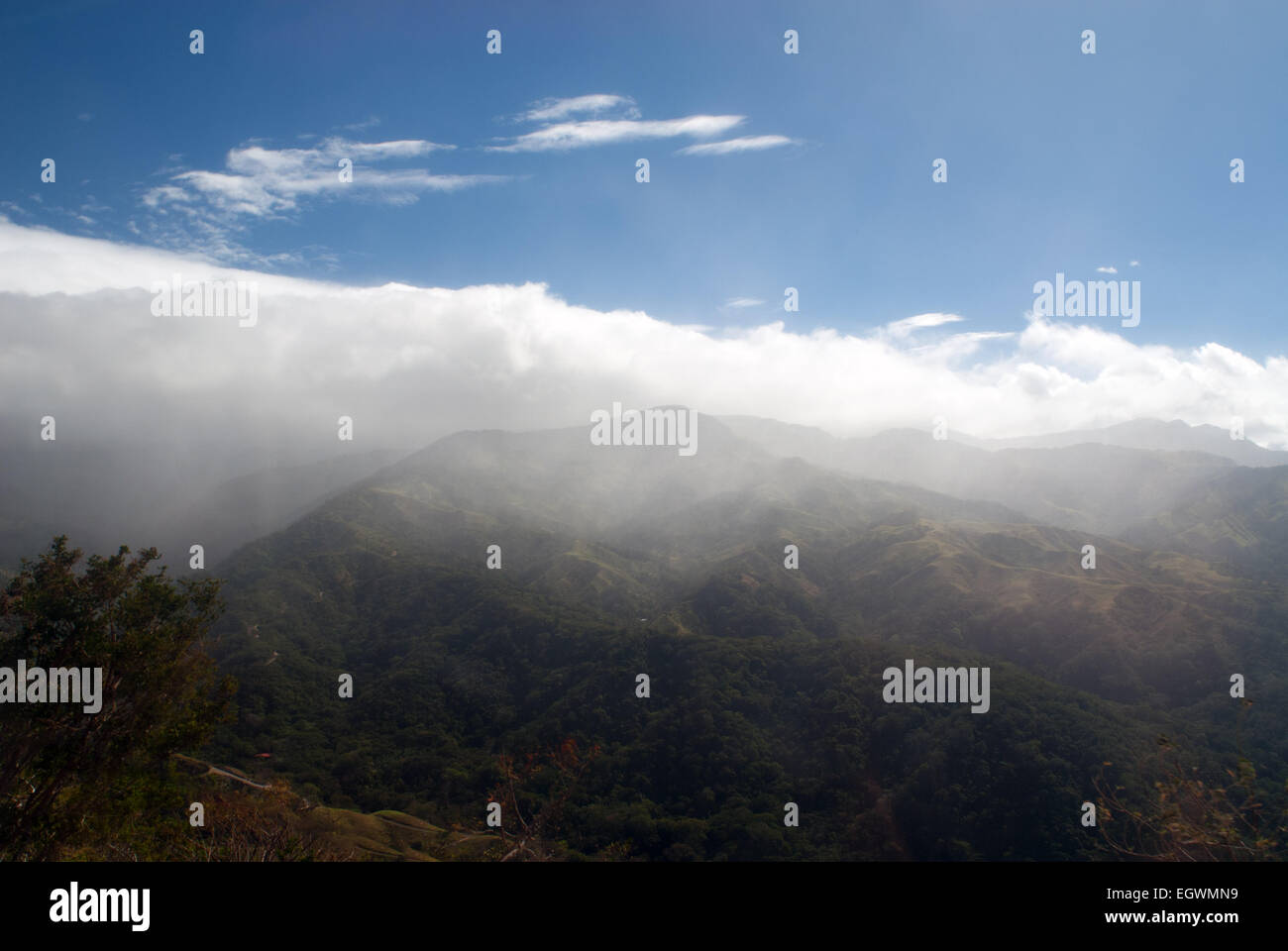Cloud Forest, Costa Rica. Cloud Forest nella Cordillera de Tilarán mountain range, Costa Rica, vicino a Monteverde Foto Stock