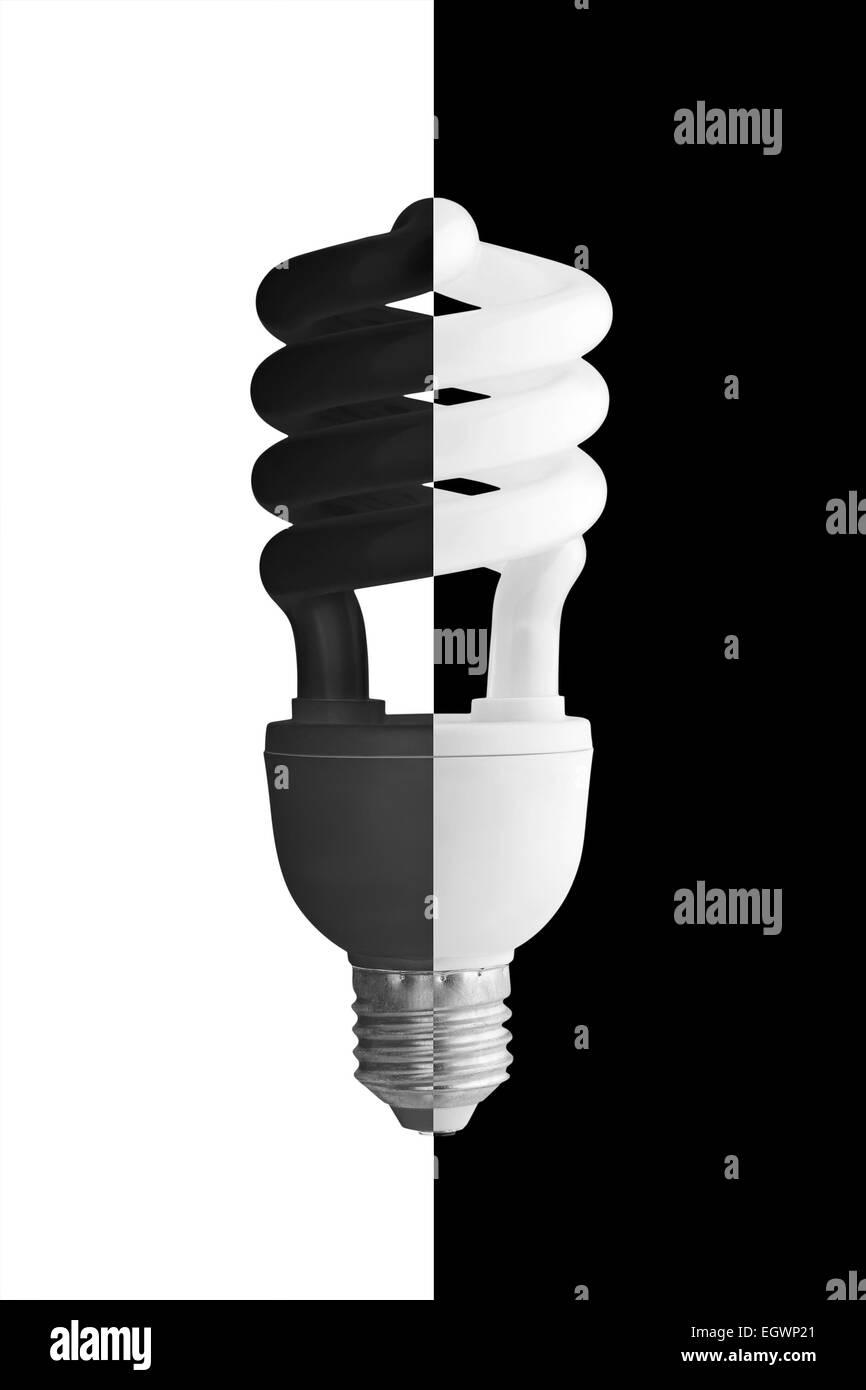 Lampada a risparmio energetico in nero-e-bianco fiori di una lampada e lo sfondo. Foto Stock