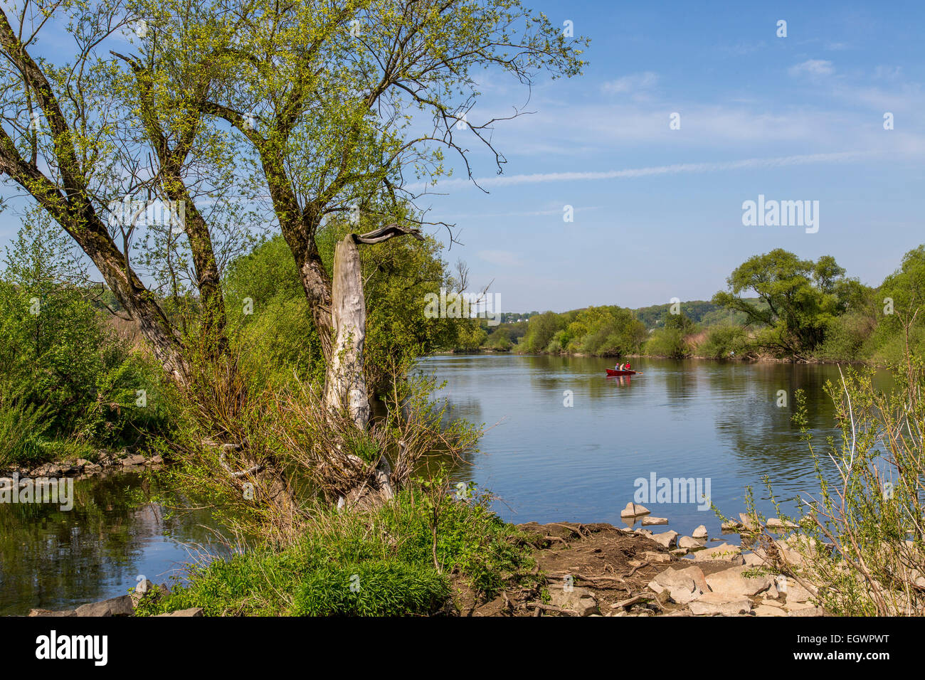 Nature Preserve, fiume Ruhr, vicino a Witten, Germania Foto Stock