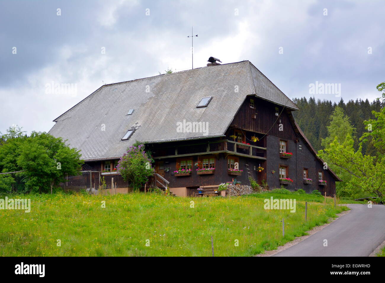 Schwarzwald, Baden-Württemberg, Hochschwarzwald, Azienda agricola, l'agricoltura Foto Stock