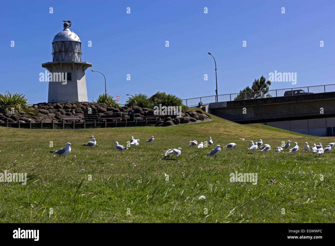 Faro dal fiume in Wairoa nel nuovo Zaland Foto Stock