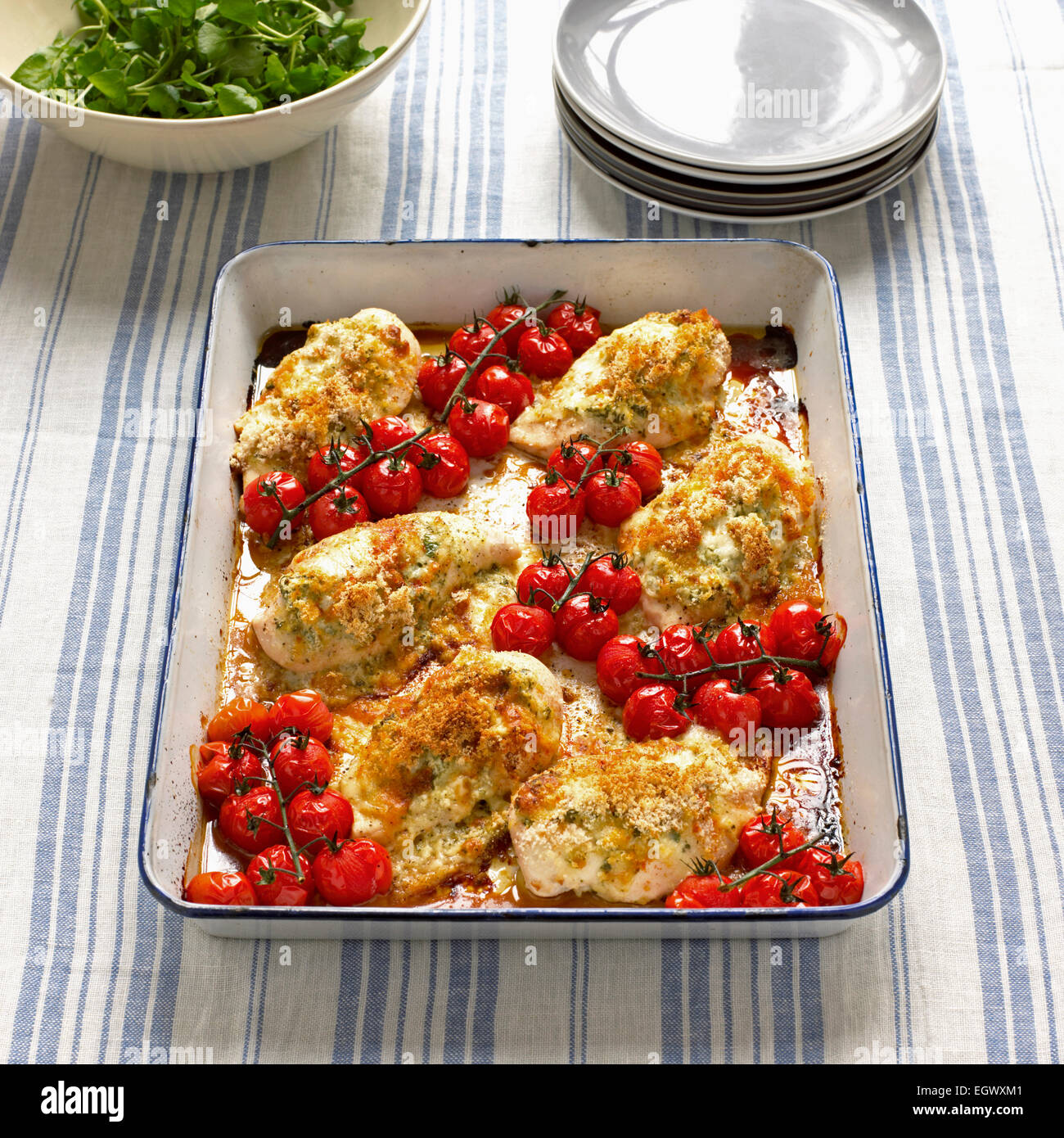 Il pollo con il pesto, il Taleggio e pomodori arrosto Foto Stock