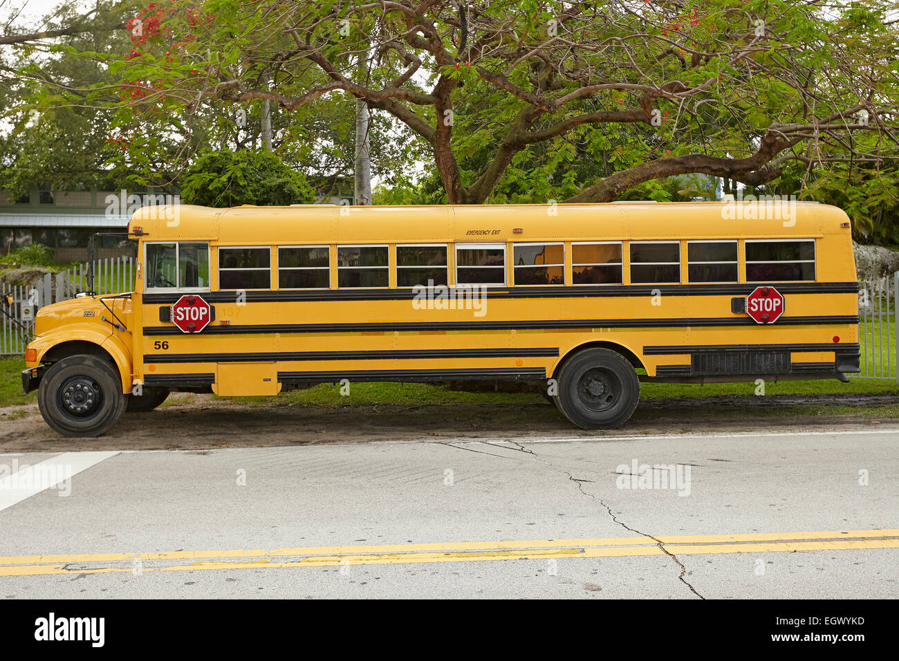 American School bus Foto Stock