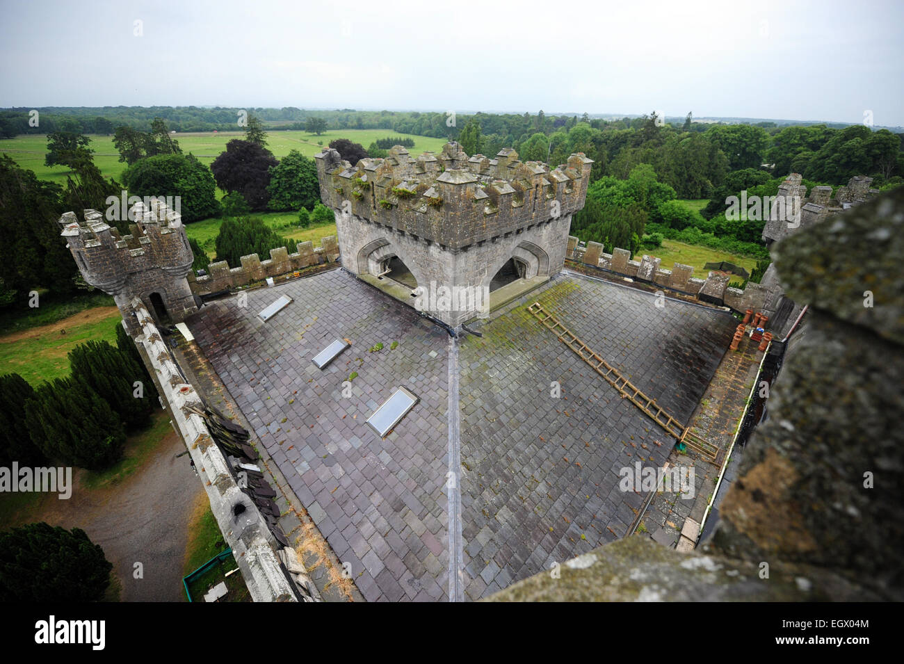 Il principale sul tetto del castello di Charleville, Tullamore, Co Offaly, Irlanda. Fotografia: James Flynn/Alamy Foto Stock