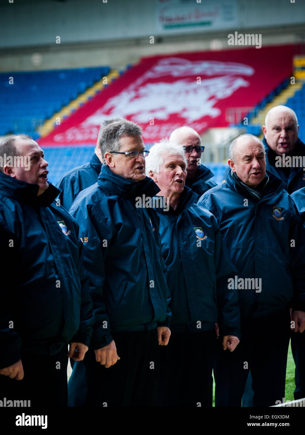 Coro vocale gallese che canta al London Welsh Rugby Match on St. Davids Day 2015 Foto Stock