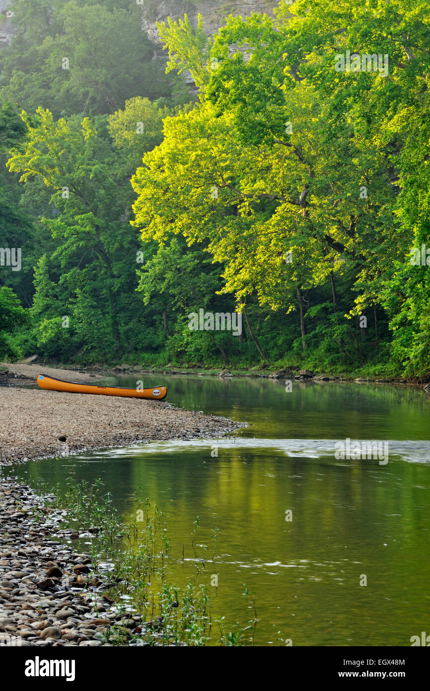 Canoe sulla Buffalo nazionale riva del fiume in estate per un escursione di Buffalo fiume nazionale- Pruitt's Landing Arkansas Foto Stock