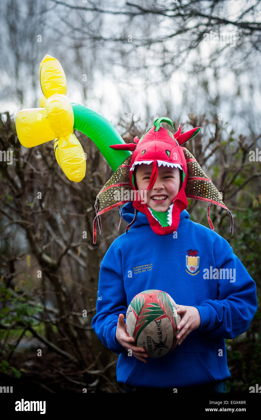 Rugby gallese sostenitori vestito fino a guardare la London Welsh giocare su St.Davids Day Foto Stock