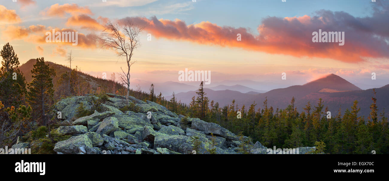 La betulla nelle montagne di pietra su uno sfondo di sunrise Foto Stock