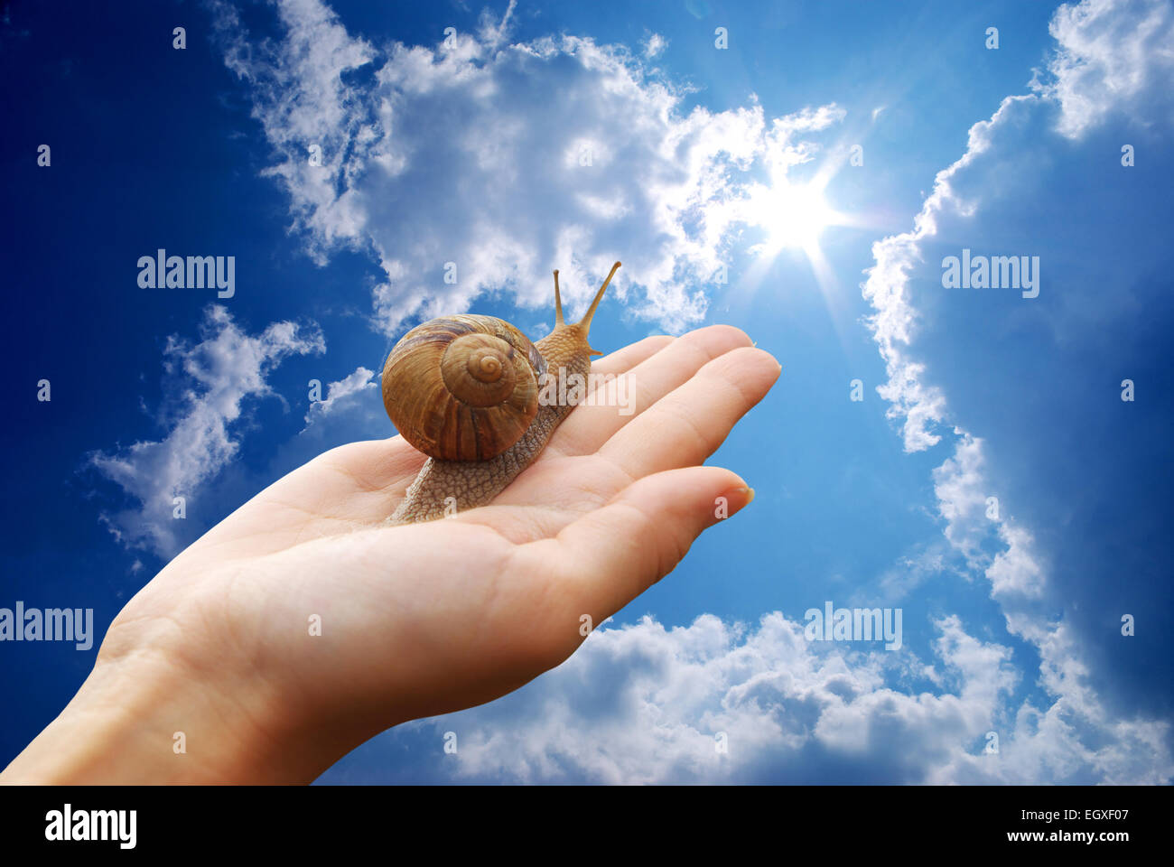 Va a passo di lumaca a portata di mano e deep sky. Progettazione Concettuale. Foto Stock