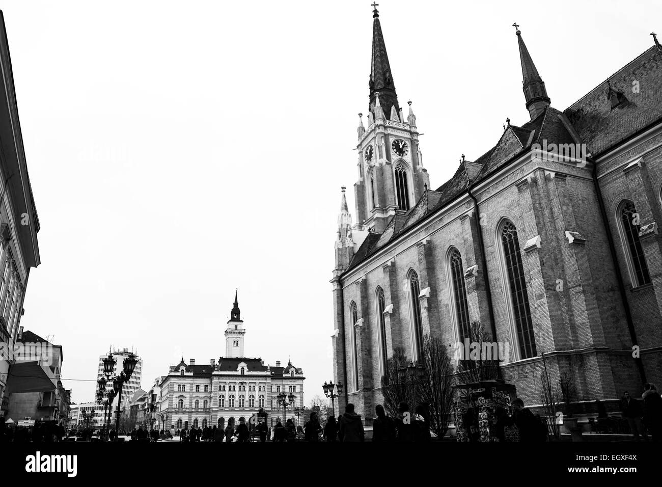 Il municipio e la chiesa cattolica nel centro di Novi Sad in scala di grigi Foto Stock