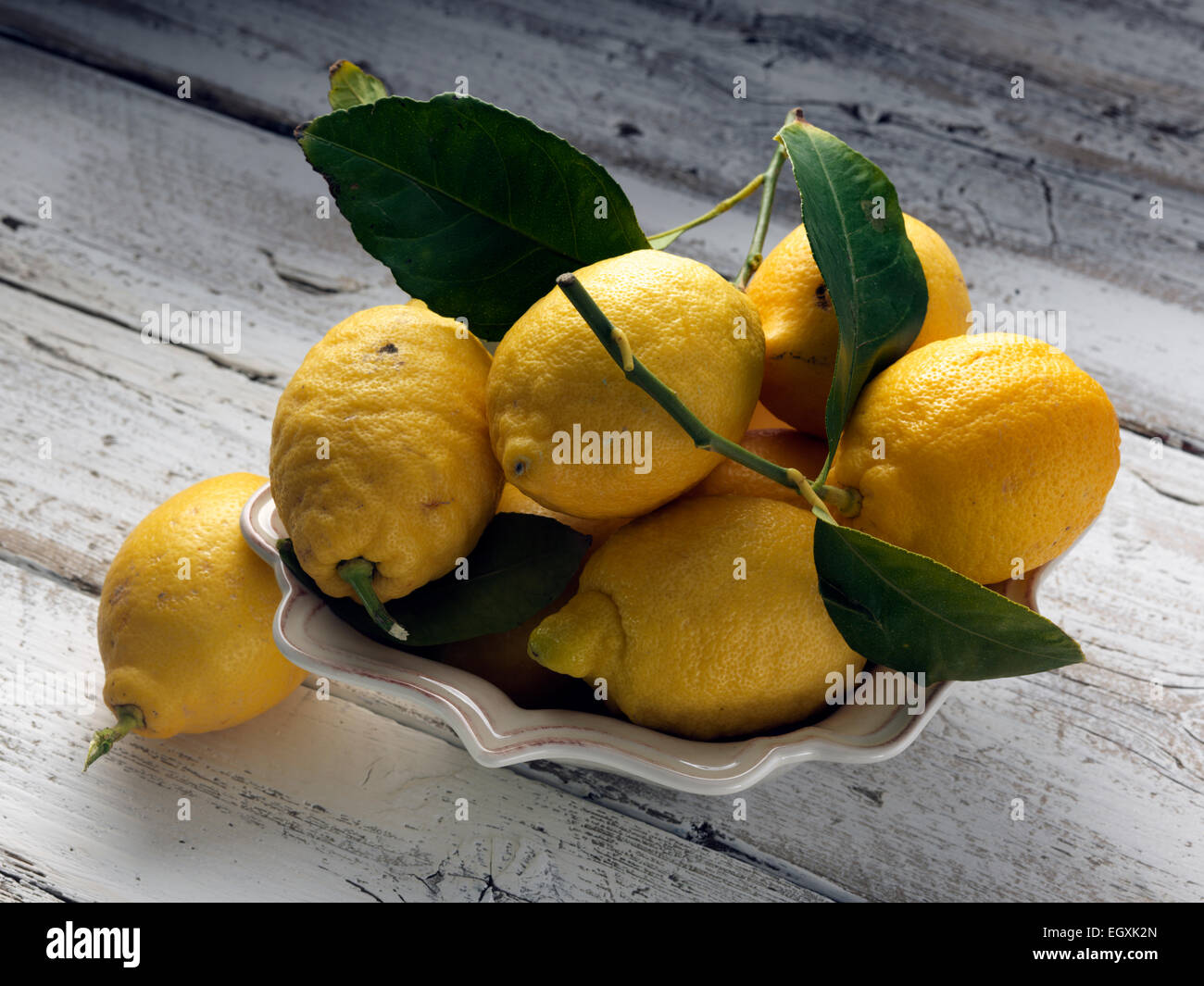 Limoni Foto Stock