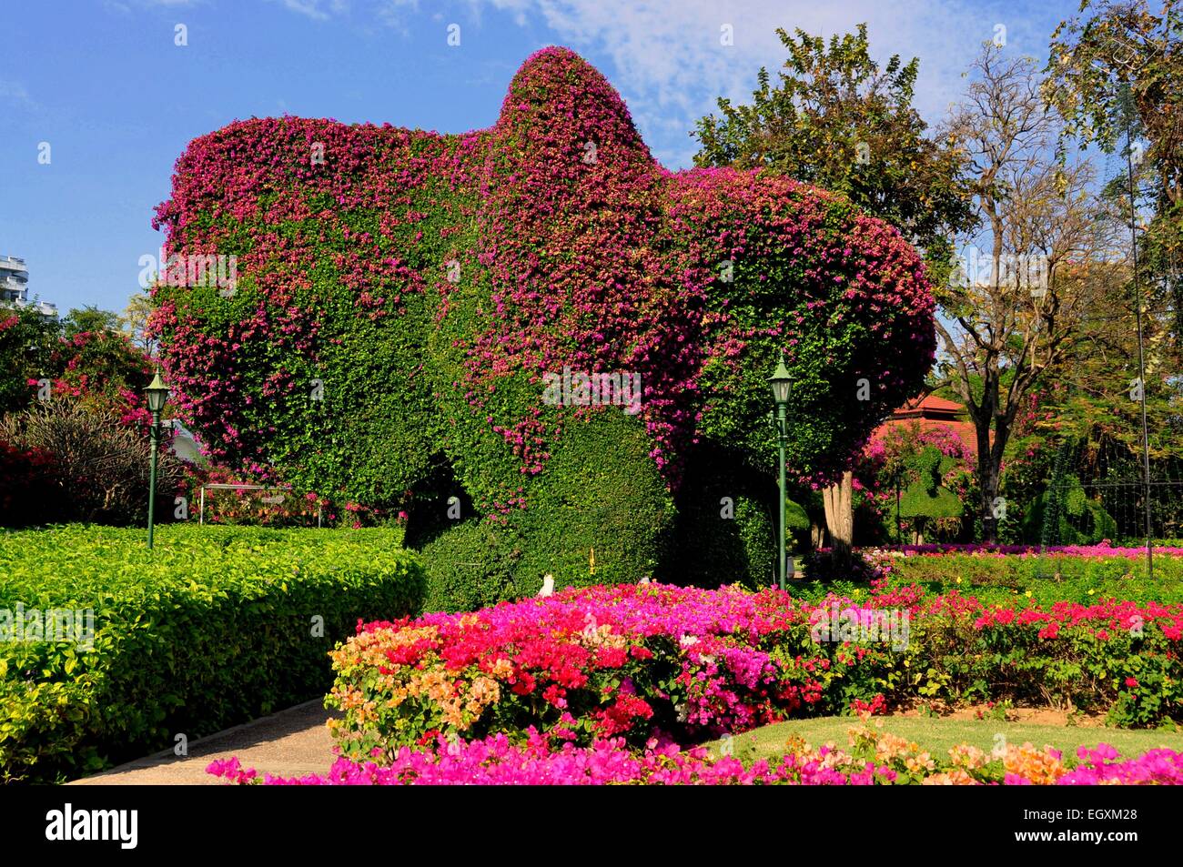 Hua Hin, Thailandia: Topiaria da immenso elefante nei giardini del Sofitel Centara Grand Resort Hotel Foto Stock
