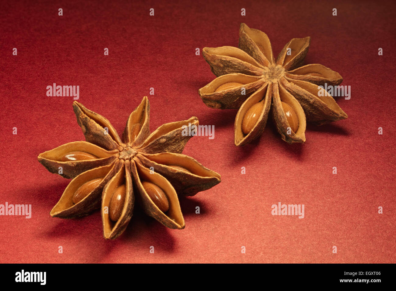 Due essiccato di anice stellato frutti su uno sfondo rosso Foto Stock