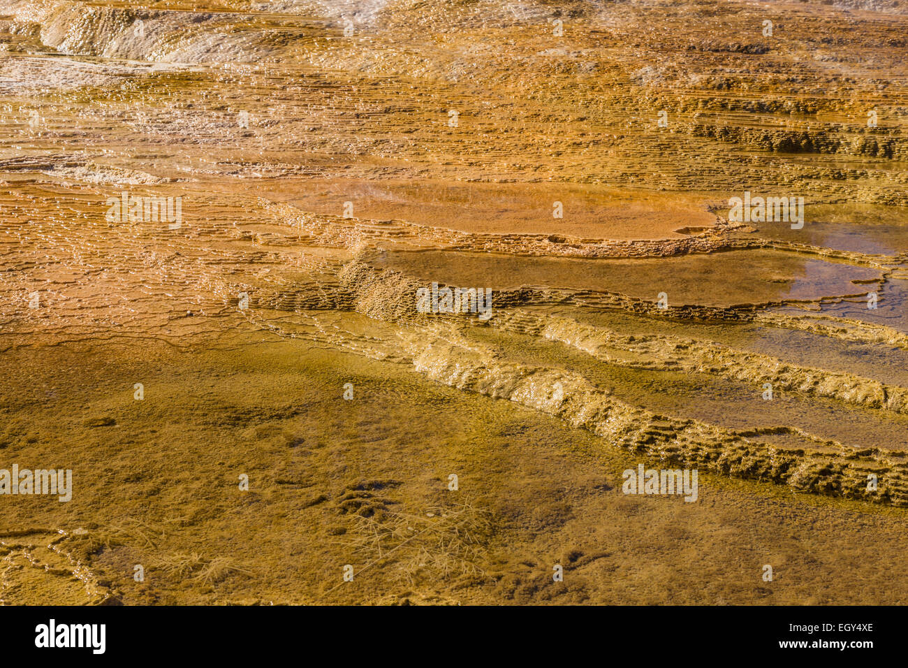 Parco Nazionale di Yellowstone, Wyoming Stati Uniti Settembre 20, 2014 - un piccolo altopiano di subacquea rock di vari colori e Foto Stock