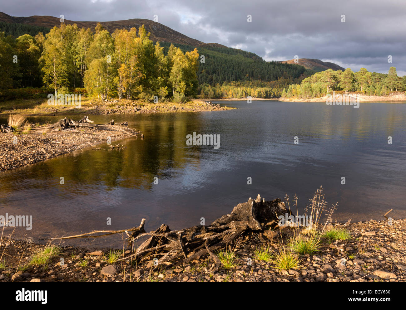 Glen Affric, Scotland, Regno Unito Foto Stock