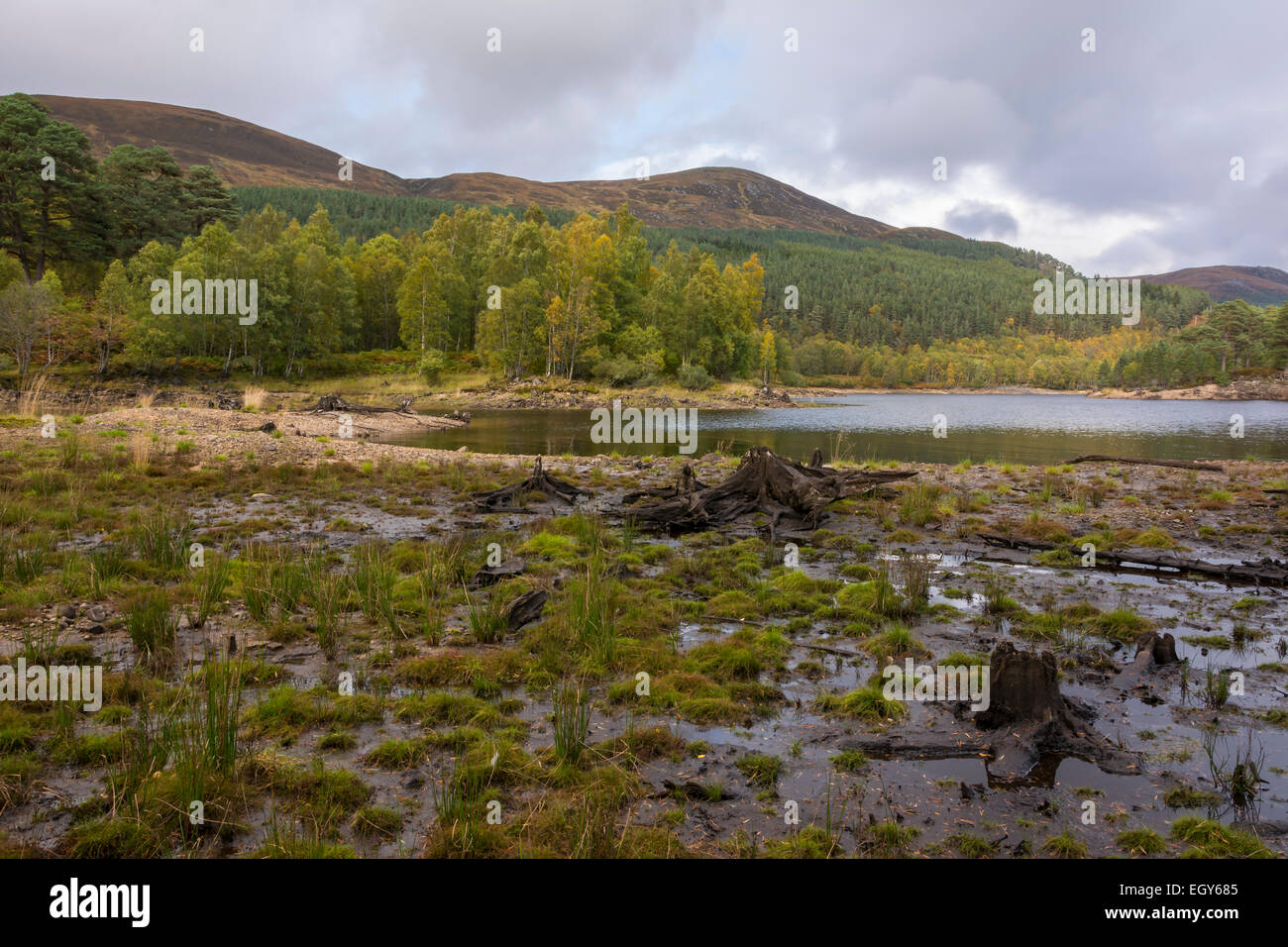 Glen Affric, Scotland, Regno Unito Foto Stock
