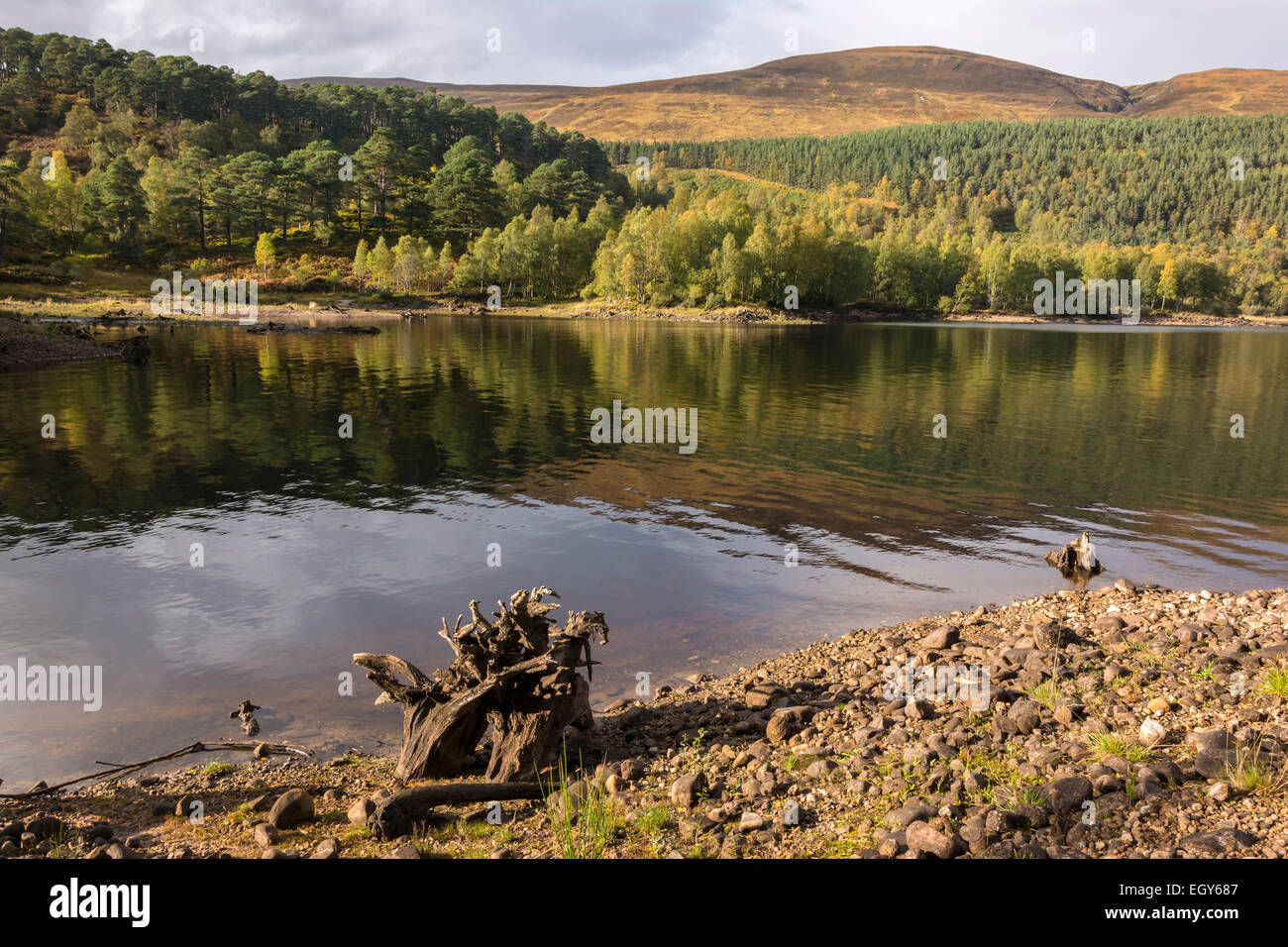 Glen Affric, Scotland, Regno Unito Foto Stock