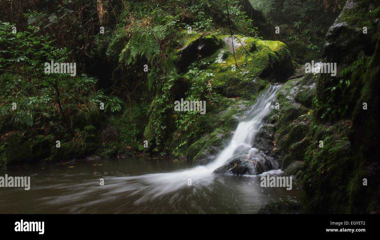 Acqua che cade Foto Stock