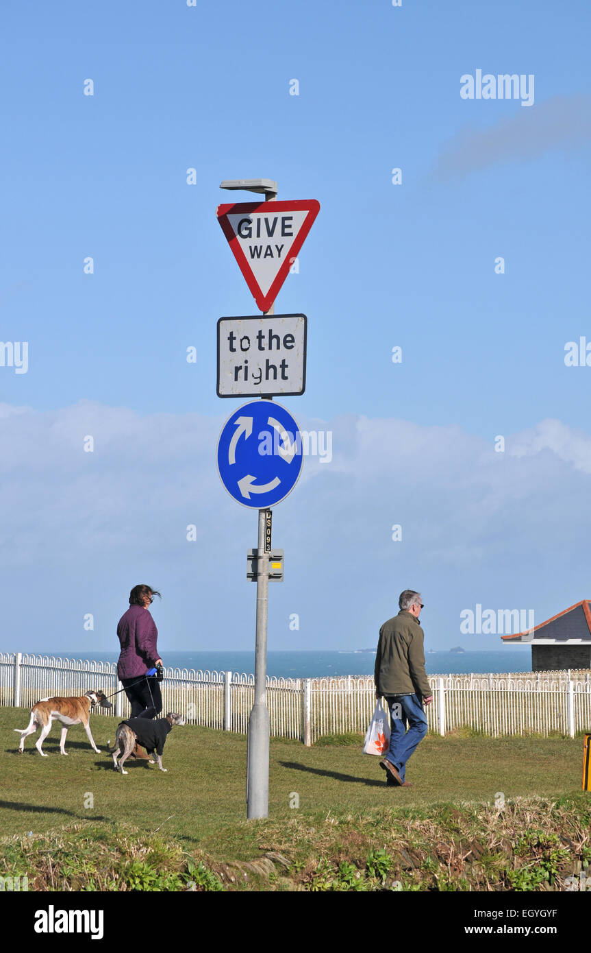 Dog walkers a Newquay Foto Stock