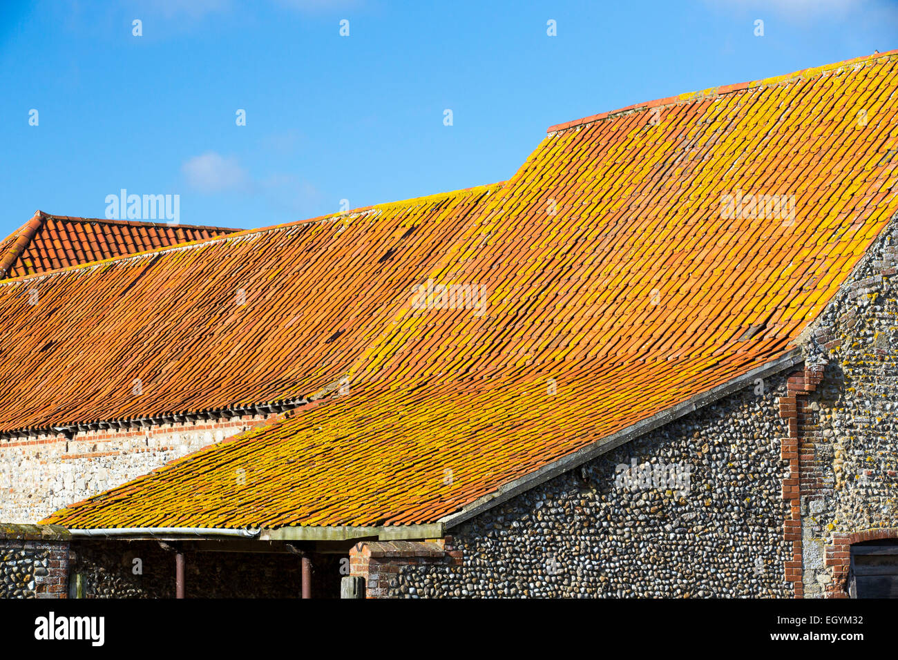 Il Lichen coperto con piastrelle in argilla con tetti fienili in una fattoria in Binham, North Norfolk, Regno Unito. Foto Stock