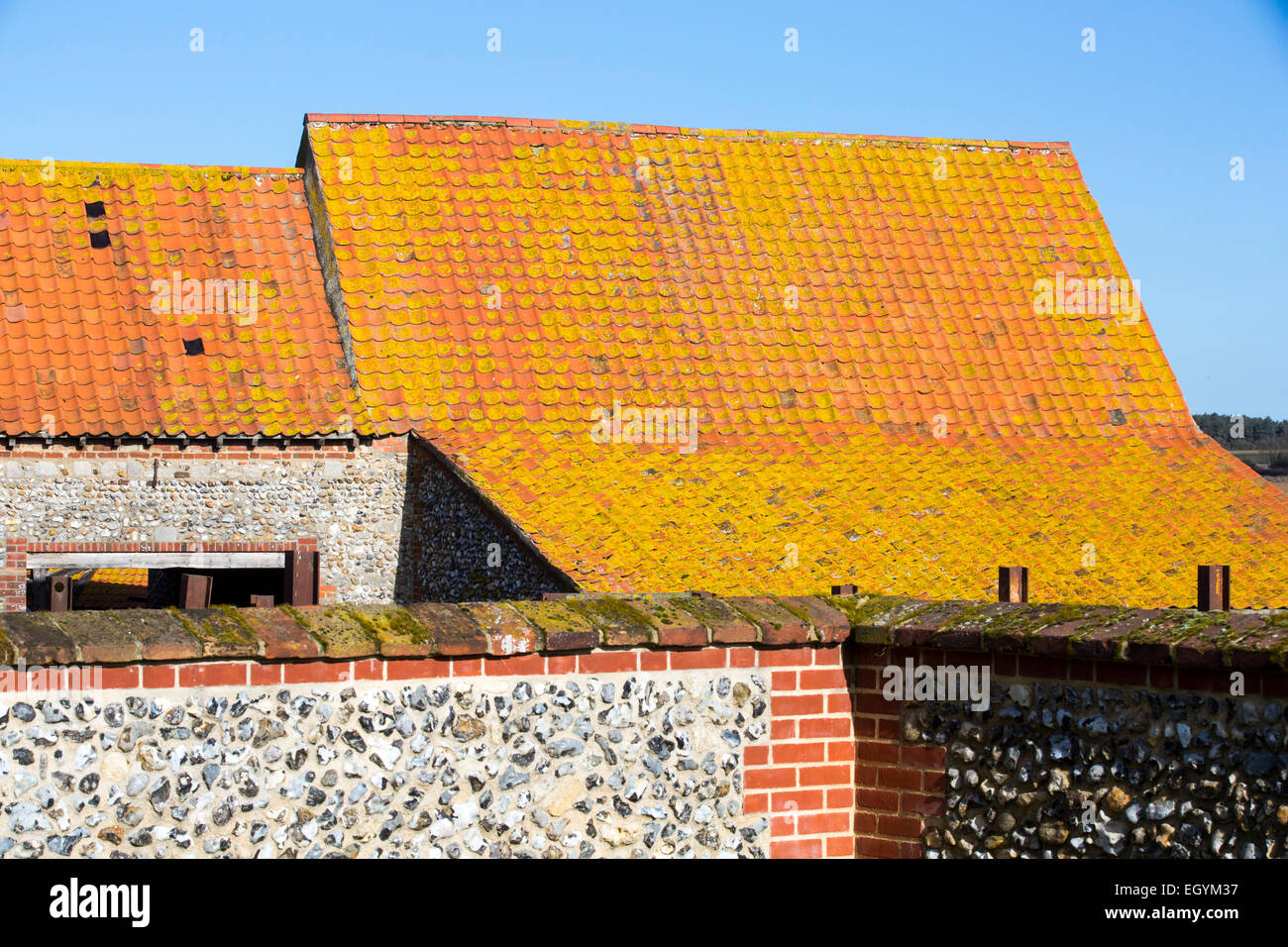 Il Lichen coperto con piastrelle in argilla con tetti fienili in una fattoria in Binham, North Norfolk, Regno Unito. Foto Stock