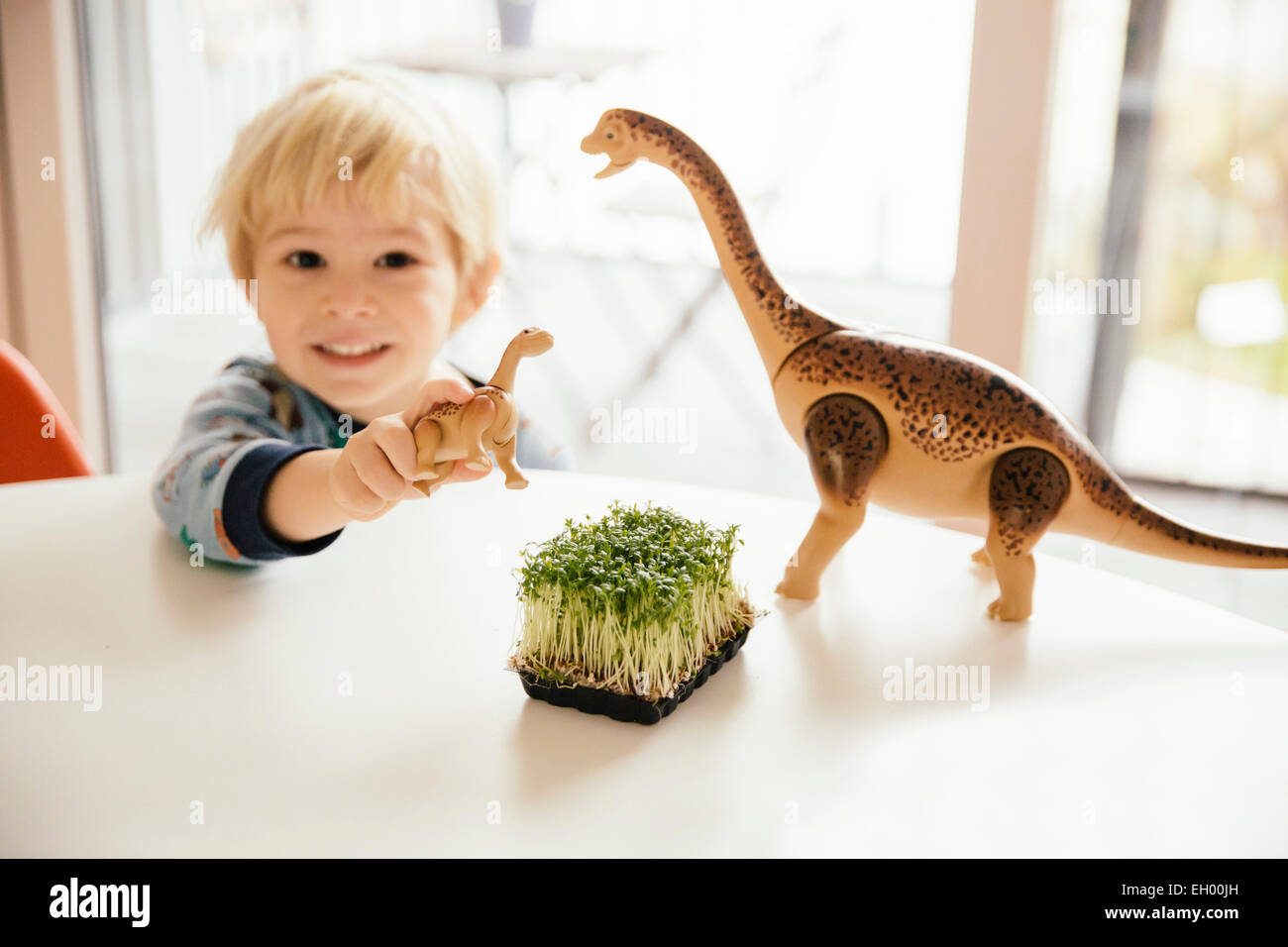 Little Boy giocando con dinosauri giocattolo e scatola di crescione su un tavolo Foto Stock