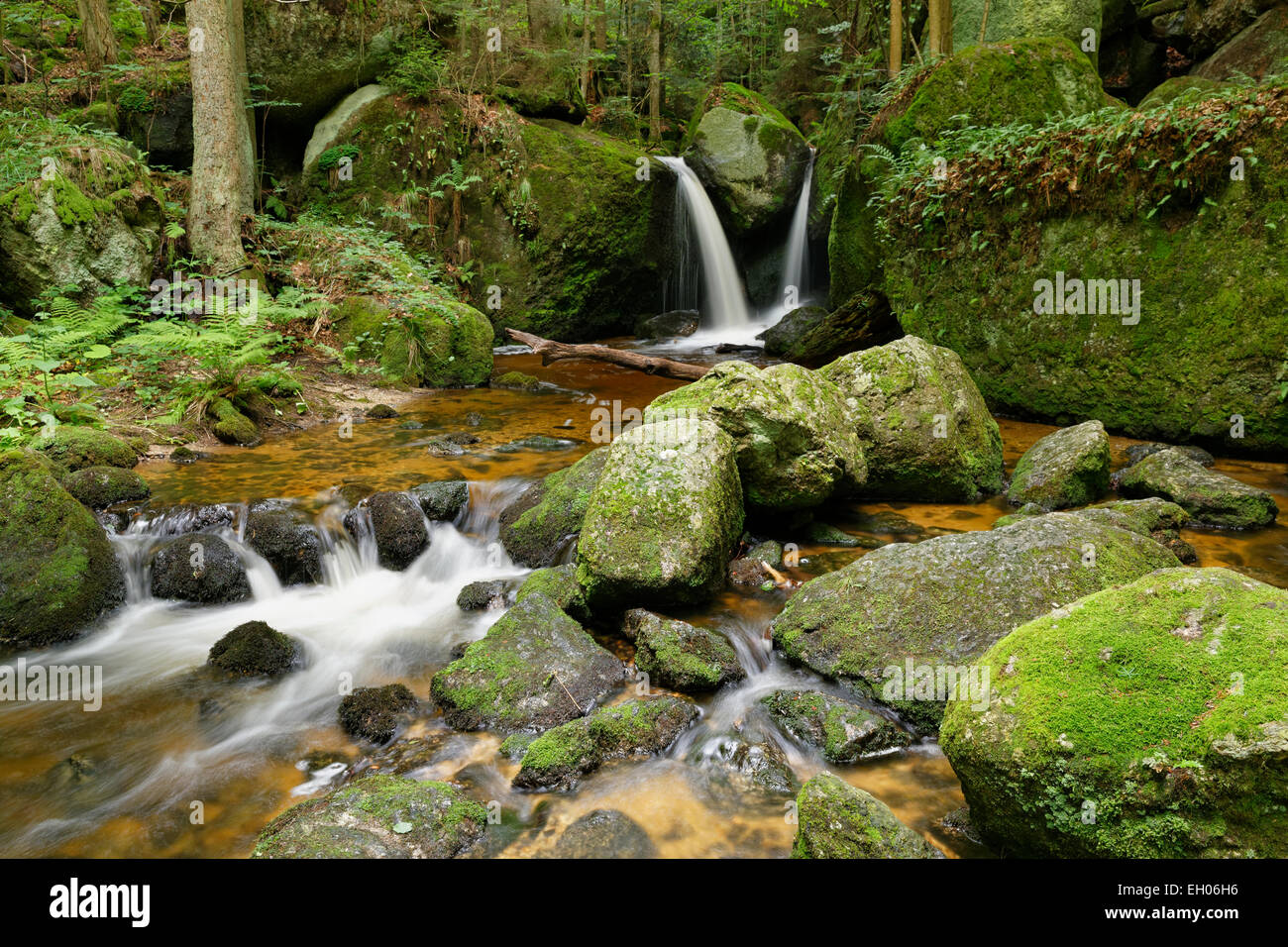 Bassa Austria, Waldviertel, valle di Ysper, grande Ysper Foto Stock