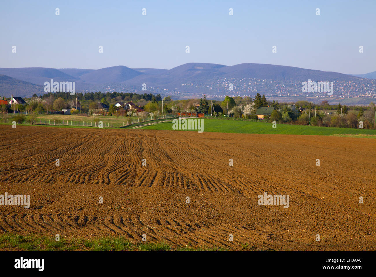 Campo Foto Stock
