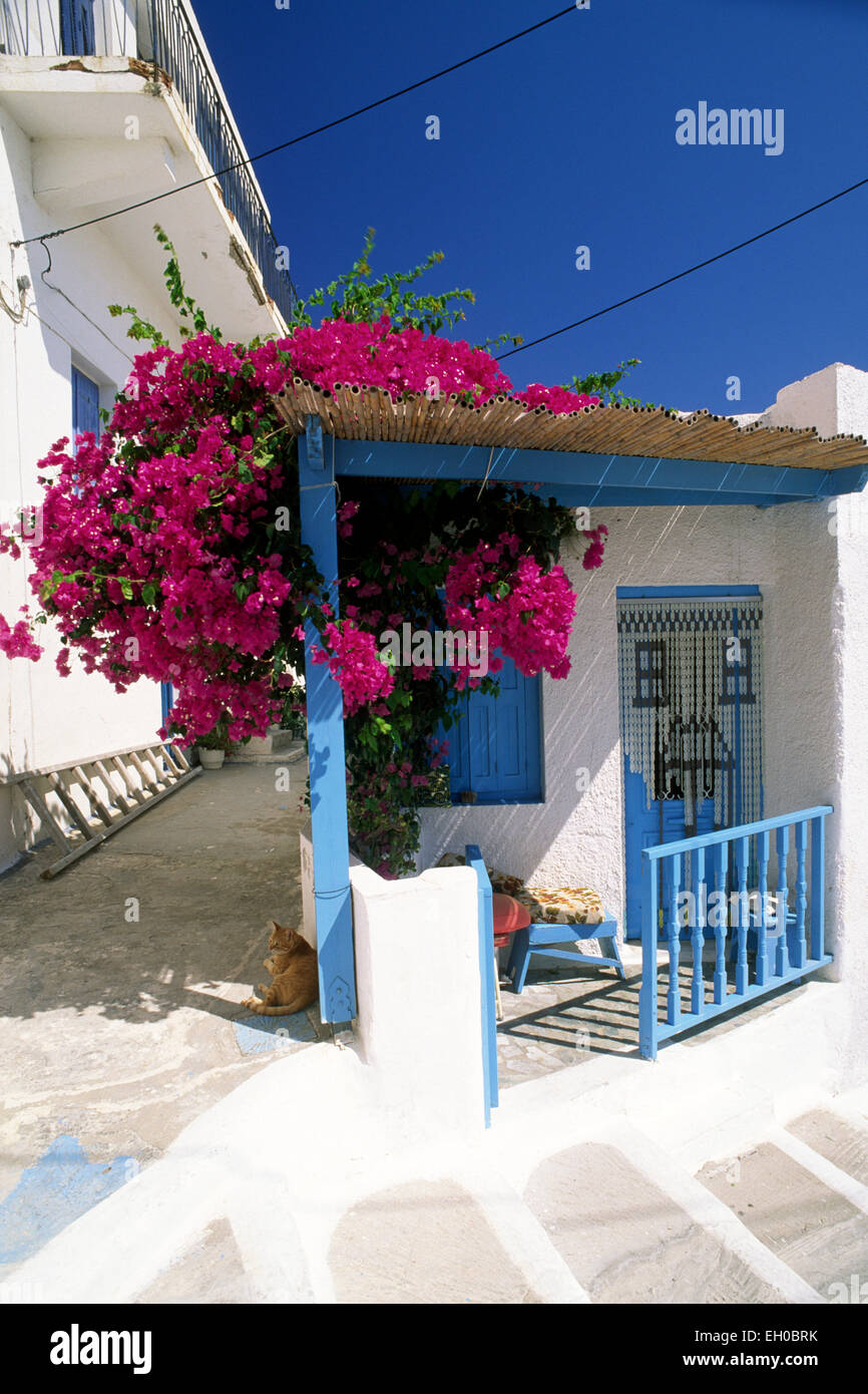 Grecia, Isole Cicladi, Milos, Plaka Foto Stock